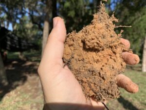 Environmental Consultants soil